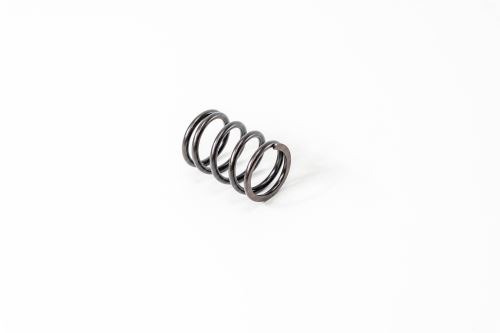 Valve Spring 4812347