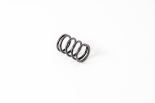 Valve spring