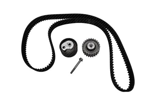 Timing Belt Set 500055844