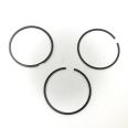 Piston Ring Kit 800003710000