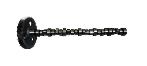 Camshaft 20100390605