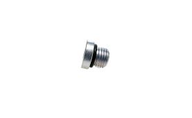 PLUG 4895605 (1)