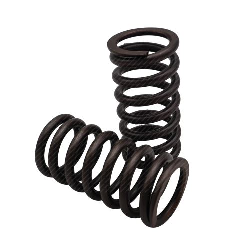 Valve spring 504099998