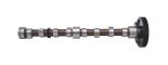 Camshaft 4600326 Camshaft 4600326