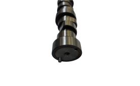 Camshaft 20100390605 (2)