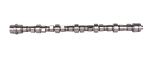 Camshaft 504241901
