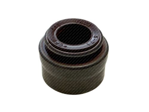 Dichtring, Ventilschaft 5801663519