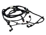 Motor harness