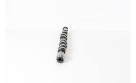 Camshaft 06F109102E (3)