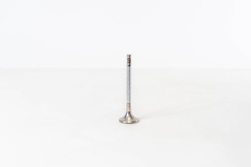 Valve exhaust ERR6612