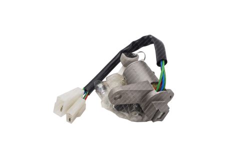 Steering Lock 2994070