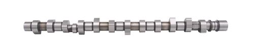 Camshaft 13020VB100