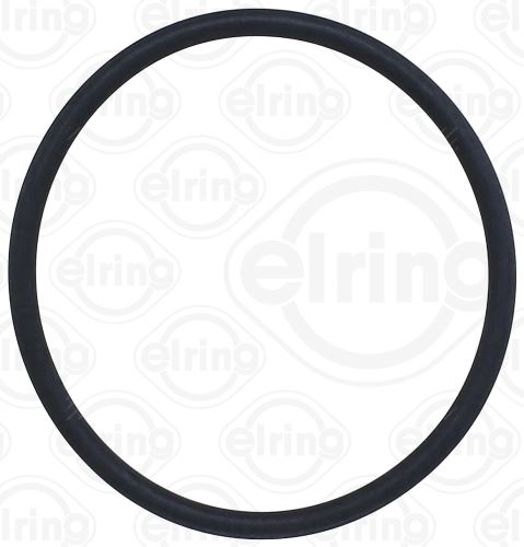 Dichtungsring 491.970