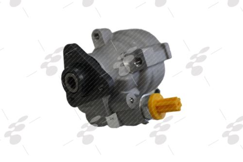 Hydraulic Pump of steering system 504134868
