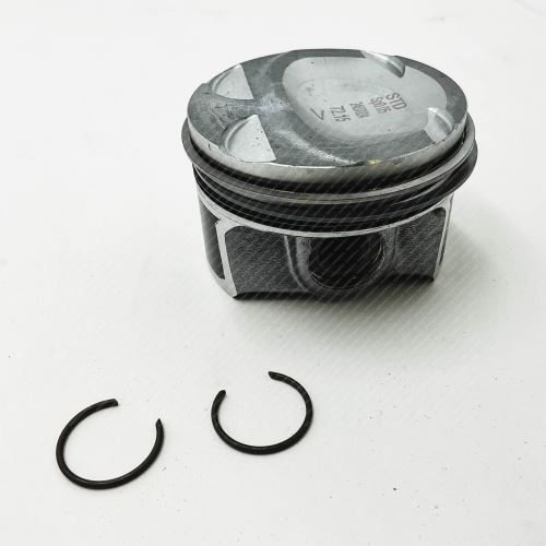 Píst 120A11396R