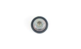 Screw cap IVECO CURSOR 11 5801949477 (4)