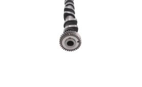 Camshaft 50007066 (1)