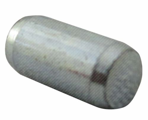 Dowel pin Ø 5.5 mm 504006981