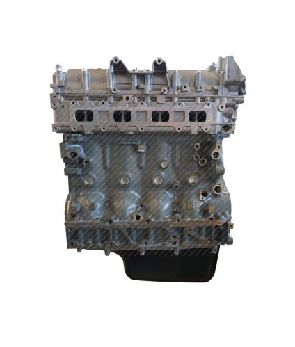 Longblock IVECO DAILY 3.0 2006-2011 Euro 4 no chain 00000F1CE0481E4