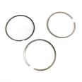 Piston Ring Kit 500086786