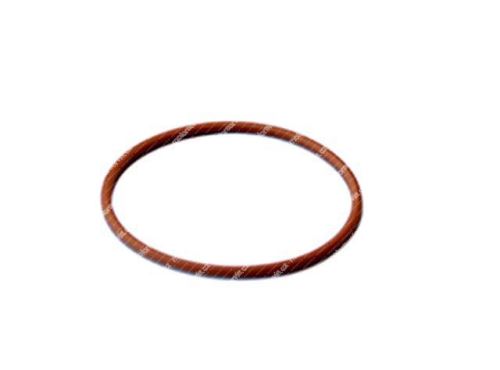 O ring 17291281
